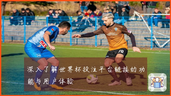 深入了解世界杯投注平台链接的功能与用户体验