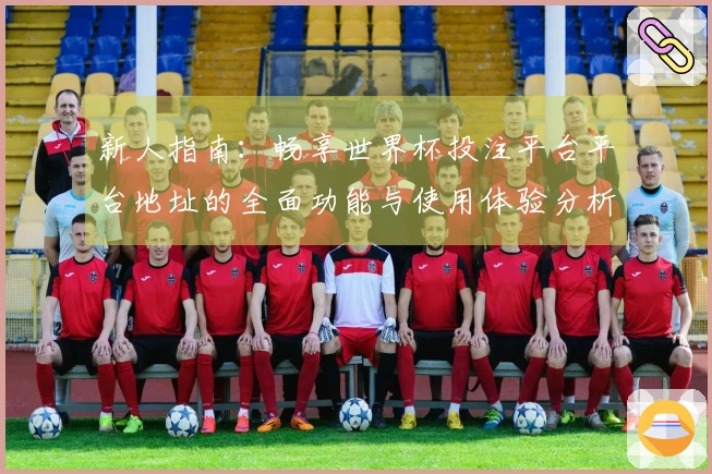 新人指南：畅享世界杯投注平台平台地址的全面功能与使用体验分析