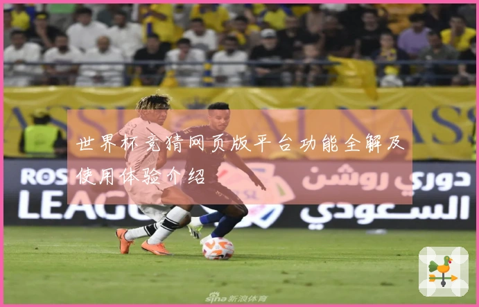 世界杯竞猜网页版平台功能全解及使用体验介绍