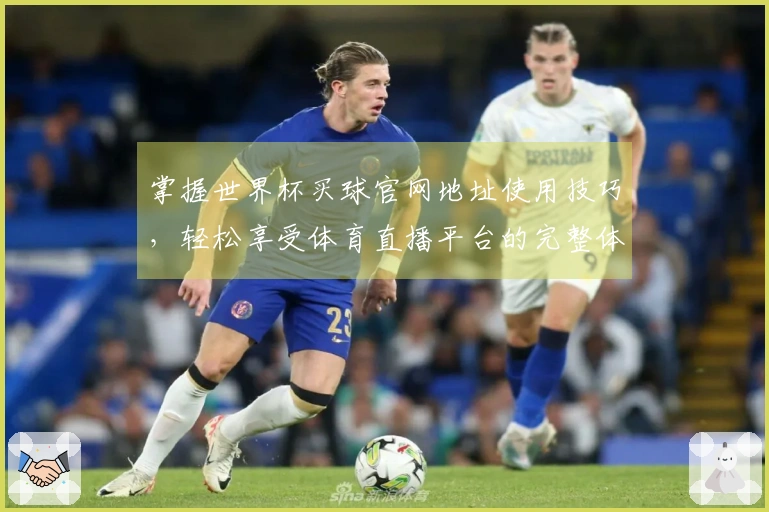掌握世界杯买球官网地址使用技巧，轻松享受体育直播平台的完整体验