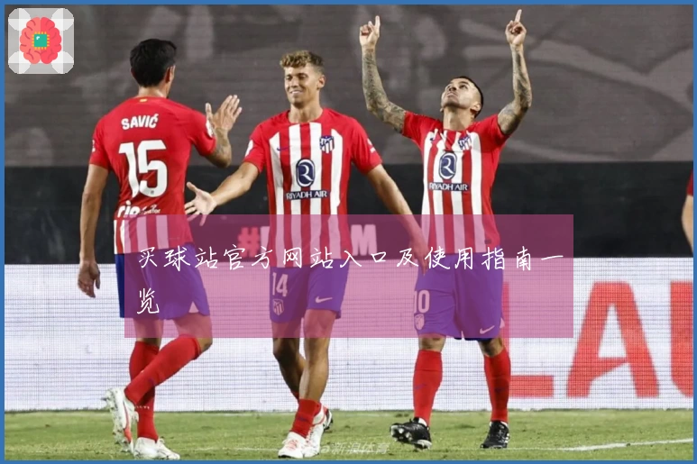 买球站官方网站入口及使用指南一览