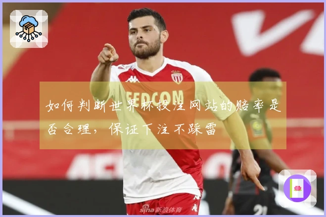 如何判断世界杯投注网站的赔率是否合理，保证下注不踩雷