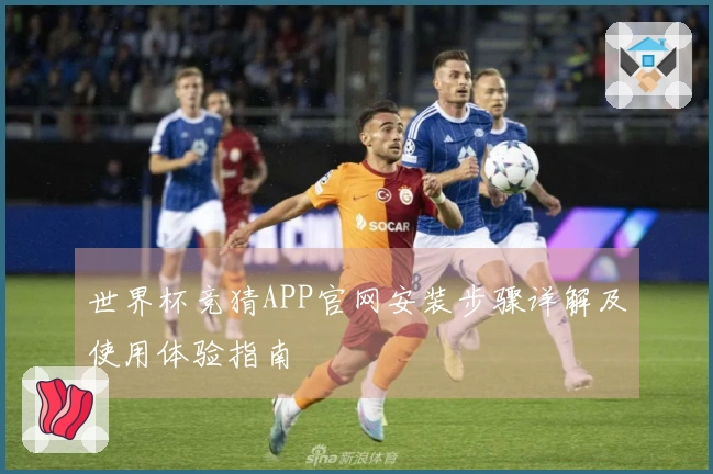 世界杯竞猜APP官网安装步骤详解及使用体验指南