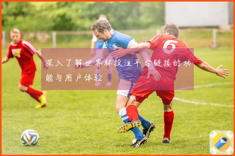 深入了解世界杯投注平台链接的功能与用户体验