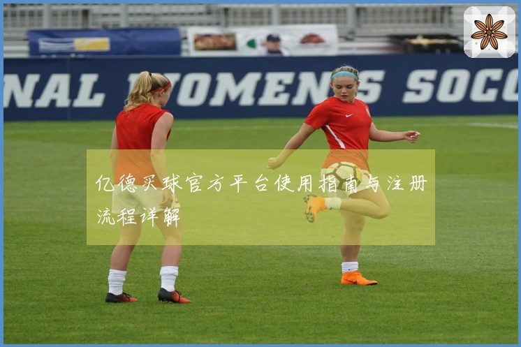 亿德买球官方平台使用指南与注册流程详解