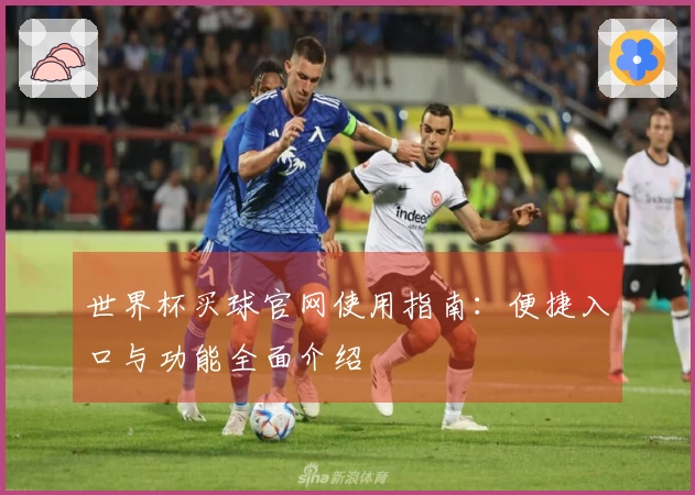 世界杯买球官网使用指南：便捷入口与功能全面介绍