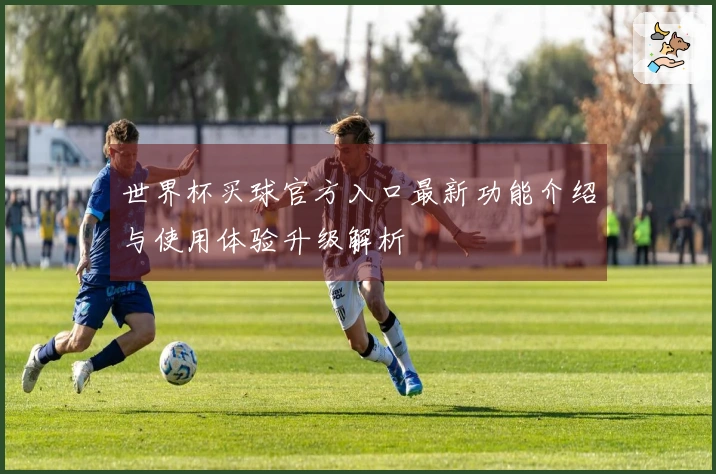 世界杯买球官方入口最新功能介绍与使用体验升级解析