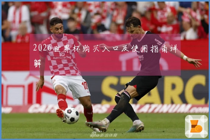 2026世界杯购买入口及使用指南详解