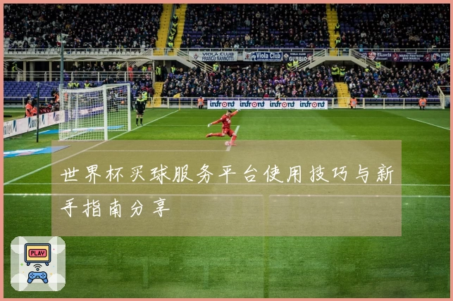 世界杯买球服务平台使用技巧与新手指南分享