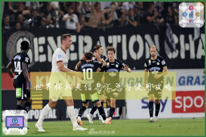 世界杯相关信息汇总与使用攻略