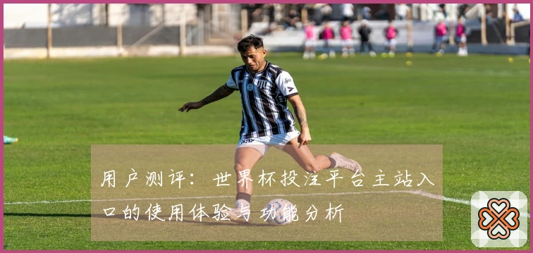用户测评：世界杯投注平台主站入口的使用体验与功能分析
