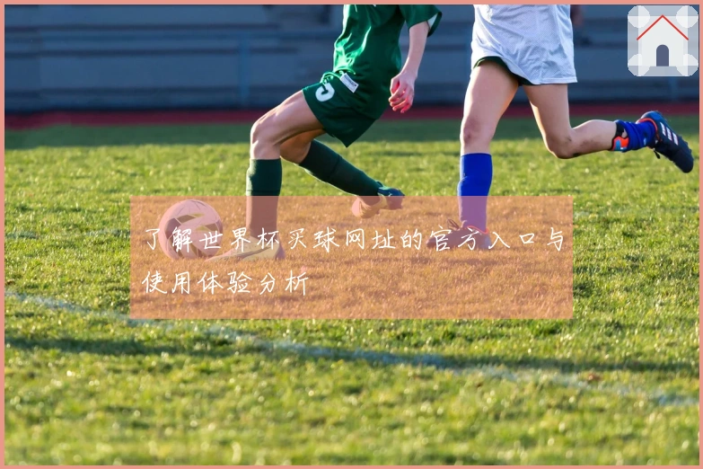 了解世界杯买球网址的官方入口与使用体验分析