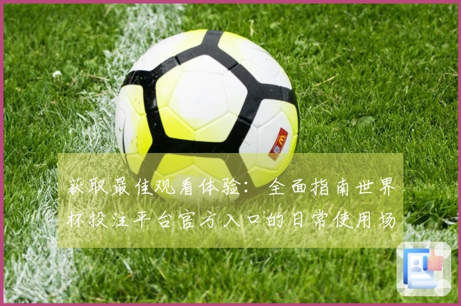 获取最佳观看体验:全面指南世界杯投注平台官方入口的日常使用场景