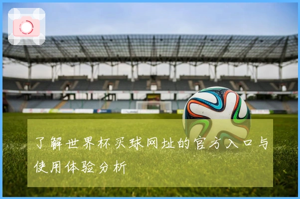 了解世界杯买球网址的官方入口与使用体验分析